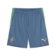 PUMA Neymar JR BNA Shorts 2.0 Herren Football