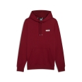 ESS+ 2 Col Small Logo Hoodie FL