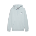 ESS+ 2 Col Small Logo Hoodie FL