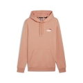 ESS+ 2 Col Small Logo Hoodie FL