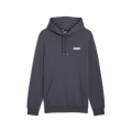 ESS+ 2 Col Small Logo Hoodie FL