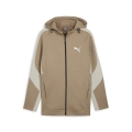 EVOSTRIPE Full-Zip Hoodie DK