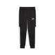 PUMA POWER Colorblock Sweatpants FL cl Herren Basics