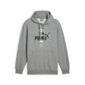 PUMA POWER Graphic Hoodie FL