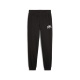 PUMA SQUAD Sweatpants FL cl Herren Basics