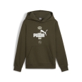 PUMA POWER Graphic Hoodie FL B