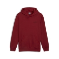 ESS ELEVATED Hoodie FL