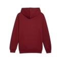 ESS ELEVATED Hoodie FL