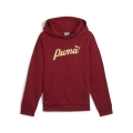 ESS+ SCRIPT Metallic Hoodie FL G