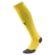 Team LIGA Socks