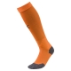 Team LIGA Socks