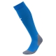 Team LIGA Socks CORE