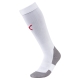 Team LIGA Socks CORE