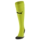 Team LIGA Socks CORE