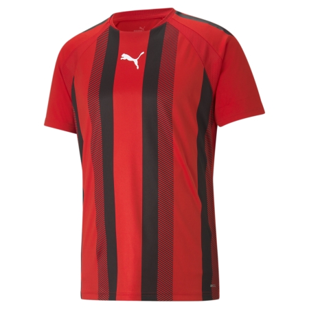 PUMA teamLIGA Striped Jersey Herren Football