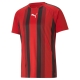 PUMA teamLIGA Striped Jersey Herren Football