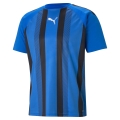 teamLIGA Striped Jersey