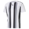 teamLIGA Striped Jersey