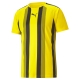 teamLIGA Striped Jersey