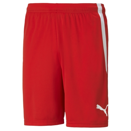 PUMA teamLIGA Shorts Herren Football