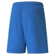 teamLIGA Shorts