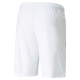 teamLIGA Shorts