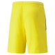 teamLIGA Shorts