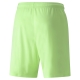 teamLIGA Shorts