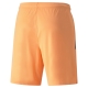 teamLIGA Shorts