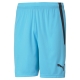 teamLIGA Shorts