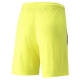 teamLIGA Shorts