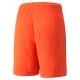 teamLIGA Shorts