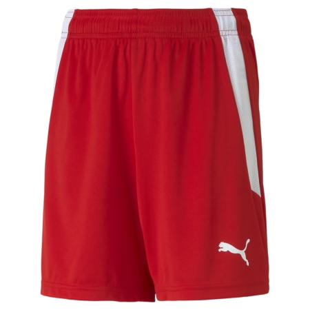 PUMA teamLIGA Shorts Jr Football