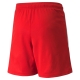 teamLIGA Shorts Jr