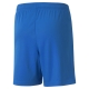 teamLIGA Shorts Jr