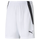 teamLIGA Shorts Jr