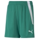 teamLIGA Shorts Jr