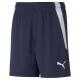 teamLIGA Shorts Jr