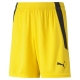 teamLIGA Shorts Jr