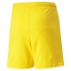 teamLIGA Shorts Jr