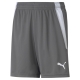 teamLIGA Shorts Jr