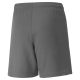 teamLIGA Shorts Jr