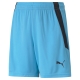 teamLIGA Shorts Jr