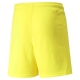 teamLIGA Shorts Jr