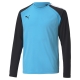 PUMA teamPACER GK LS Jersey Jr Football