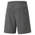 teamRISE Short