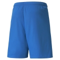 teamLIGA Shorts