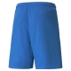 teamLIGA Shorts