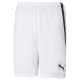 teamLIGA Shorts