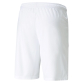 teamLIGA Shorts